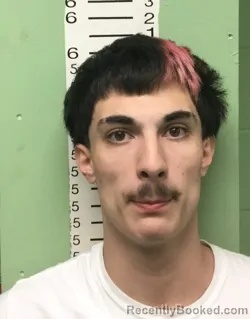 Mugshot of ZAILYN MAKAI-JORDAN MORALES booked in Bryan County, Oklahoma on March 24, 2026