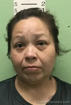 Mugshot of KRISTINA ELIZABETH DRINNON booked in Bryan County, Oklahoma on March 26, 2026