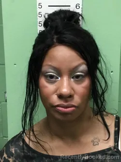 Mugshot of STEPHINE FINLEY booked in Bryan County, Oklahoma on March 28, 2026