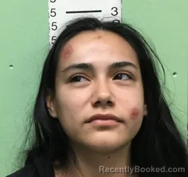 Mugshot of JADA ANNAY ERIVES booked in Bryan County, Oklahoma on March 31, 2026