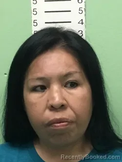 Mugshot of VICKI ELAINE BRESE booked in Bryan County, Oklahoma on March 31, 2026