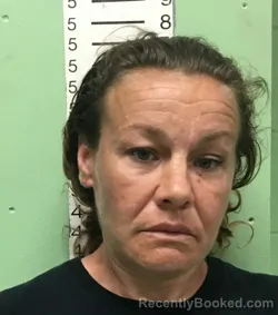 Mugshot of SHEILA LYNN ODUM booked in Bryan County, Oklahoma on March 31, 2026