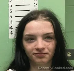 Mugshot of JOELYNN RENEA BROWN-DOYLE booked in Bryan County, Oklahoma on April 1, 2026