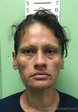 Mugshot of NIKISHA RACHELLE FORD booked in Bryan County, Oklahoma on April 19, 2026