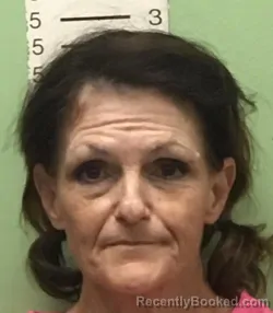 Mugshot of TINA MICHELE NOLTKAMPER booked in Bryan County, Oklahoma on April 23, 2026
