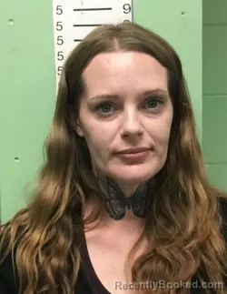 Mugshot of ASHLEY LEANN CLARK booked in Bryan County, Oklahoma on April 24, 2026