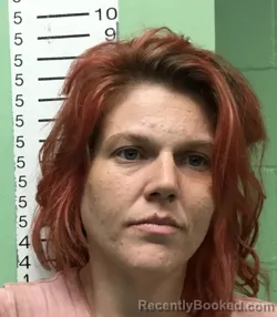 Mugshot of TINA MARIE JOHNSON booked in Bryan County, Oklahoma on May 16, 2026