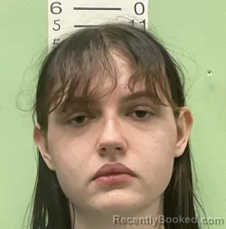 Mugshot of SAMANTHA STOWERS booked in Bryan County, Oklahoma on June 26, 2026