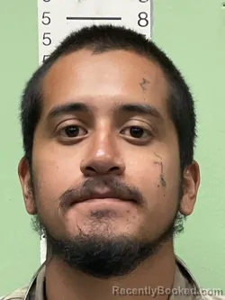 Mugshot of JAIR ISAI CEPEDA booked in Bryan County, Oklahoma on July 3, 2026