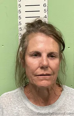 Mugshot of PATRICIA JEAN PETNICKI booked in Bryan County, Oklahoma on August 4, 2026