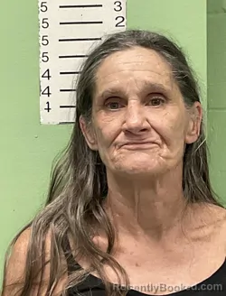 Mugshot of SHEILA KAY TOWNSEND booked in Bryan County, Oklahoma on August 4, 2026