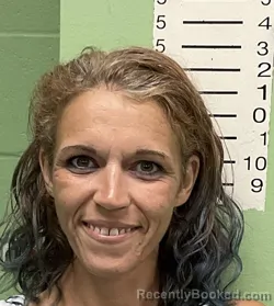Mugshot of Heather Dawn Payne booked in Bryan County, Oklahoma on August 7, 2026