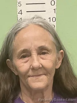 Mugshot of Willetta Ann Huff booked in Bryan County, Oklahoma on August 28, 2026