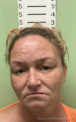 Mugshot of Amanda Louise Allison booked in Bryan County, Oklahoma on September 14, 2026