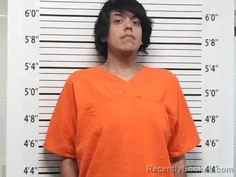 Mugshot of JACINTO CHE GUEVARA