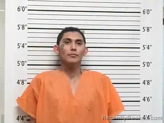 Mugshot of JAYLYN LARGE