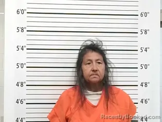 Mugshot of ROBIN GAYNELE HARRISON