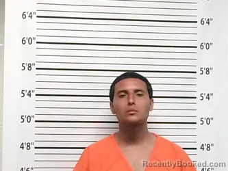 Mugshot of NICHOLAS E LUGO