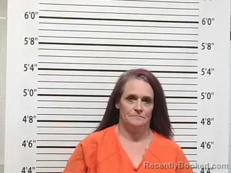 Mugshot of MANDY ALINA SPROWLS