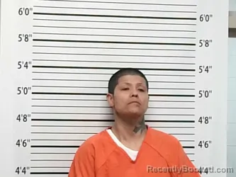 Mugshot of TARAN RAITHE GEIMAUSADDLE