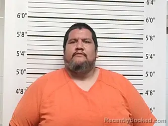 Mugshot of NIGEL MAHSEET