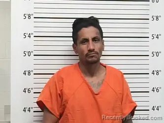 Mugshot of MIGUEL CASTRO