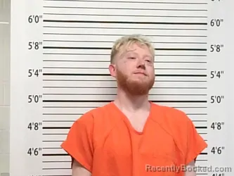 Mugshot of NICHOLAS MICHAEL RIDENOUR