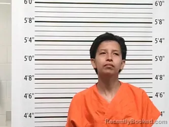 Mugshot of TINA NECONIE booked in Caddo County, Oklahoma on April 11, 2026