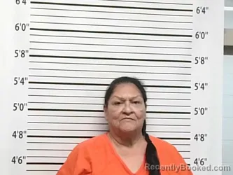 Mugshot of CYNTHIA JO PARTON booked in Caddo County, Oklahoma on May 25, 2026