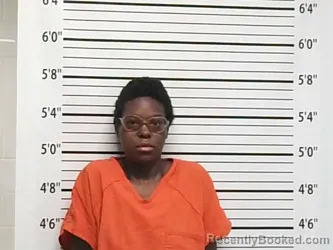 Mugshot of Breanna Janae Willhoite booked in Caddo County, Oklahoma on August 28, 2026