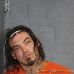 Mugshot of DAVID LEN ATKINSON