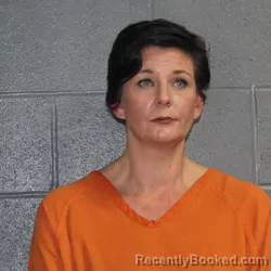 Mugshot of HILARY ROSE ROBINSON