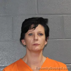 Mugshot of HILARY ROSE ROBINSON