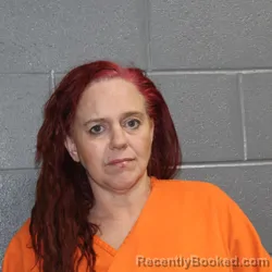 Mugshot of PAULA JEAN ROBINSON