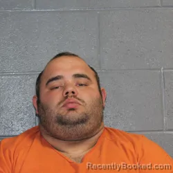 Mugshot of RYAN NEIL RYLANT