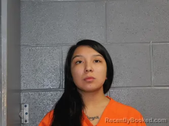 Mugshot of HENNESSY CHAILE LARGENT