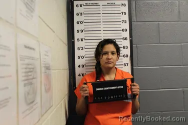 Mugshot of JENNIFER ANN REYES