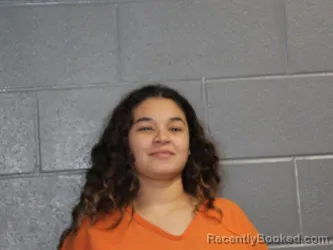 Mugshot of JOANNA VANESSA PEREZ