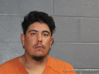 Mugshot of DANIEL A SILVA-ESTRADA