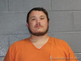 Mugshot of WILLIAM DANIEL TRINITY MERRELL