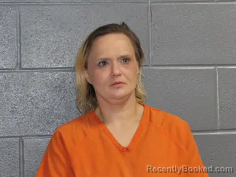 Mugshot of SHANNON LYNN BAIER