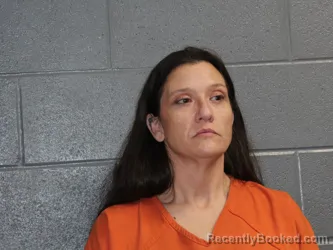 Mugshot of JOY ELIZABETH BILGER