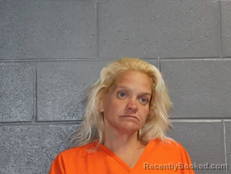 Mugshot of TINA RENE VANDUSEN