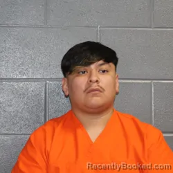Mugshot of JEOVANI ALEXIS TAPIA