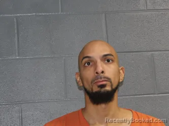 Mugshot of TAYLOR ADAMS WHITAKER