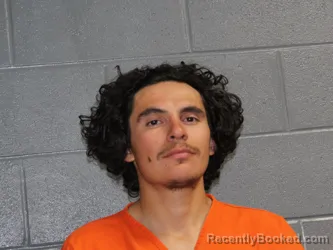 Mugshot of THOMAS LEE CHAPA