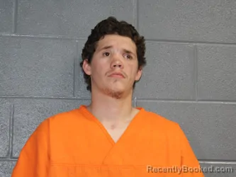 Mugshot of ALLEN DEWAYNE RICHEY