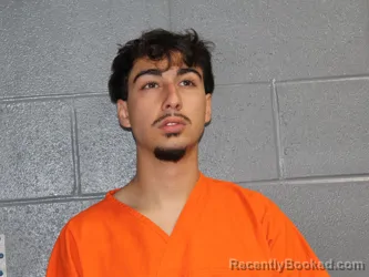 Mugshot of EFRAN SEYED HOSSEINI booked in Canadian County, Oklahoma on May 12, 2026