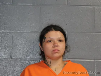Mugshot of MONICA LETICIA GUERRERO booked in Canadian County, Oklahoma on June 27, 2026
