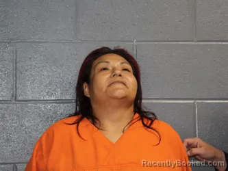 Mugshot of Crystal Nicole Mason booked in Canadian County, Oklahoma on July 27, 2026